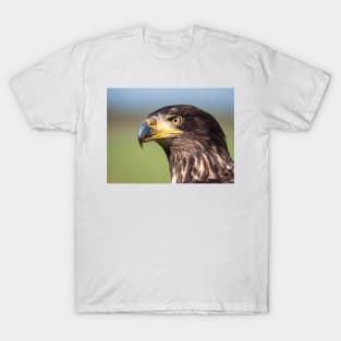 Close-up of an immature American bald eagle T-Shirt